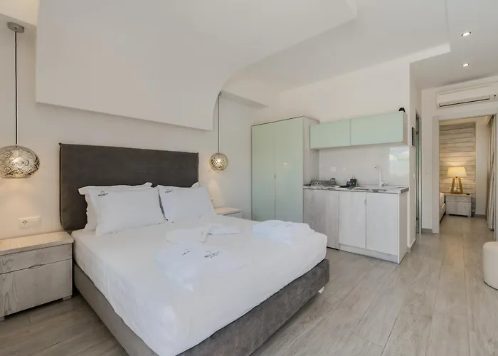 麦缇斯凯斯瑞泽顿斯酒店 酒店 萨索斯