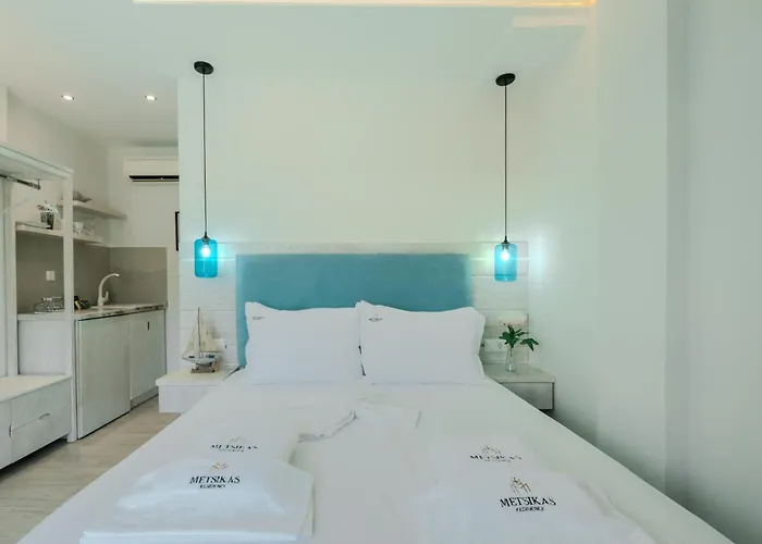 Metsikas Hotel 3*
