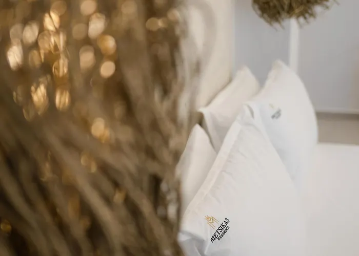 麦缇斯凯斯瑞泽顿斯酒店