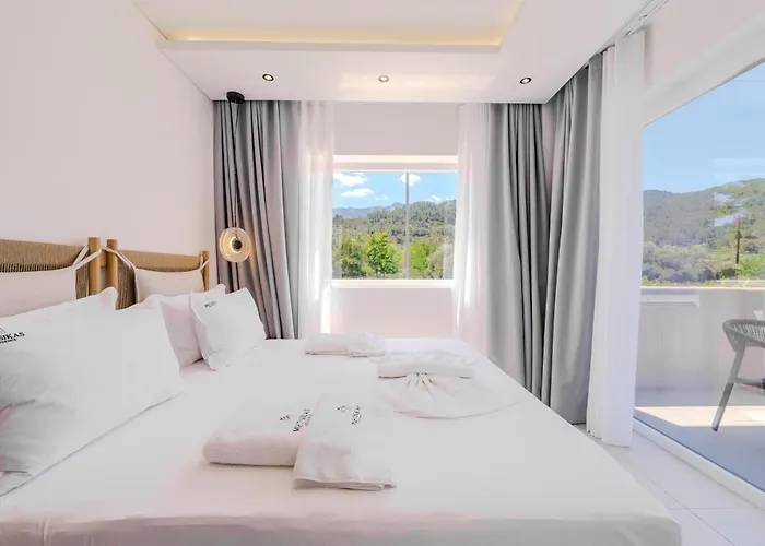 Hotel Metsikas